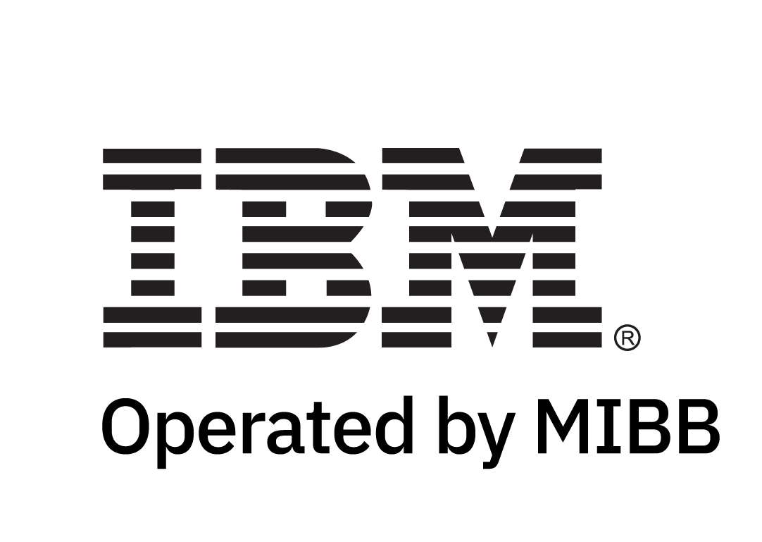 MIBB International