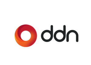 DDN Logo